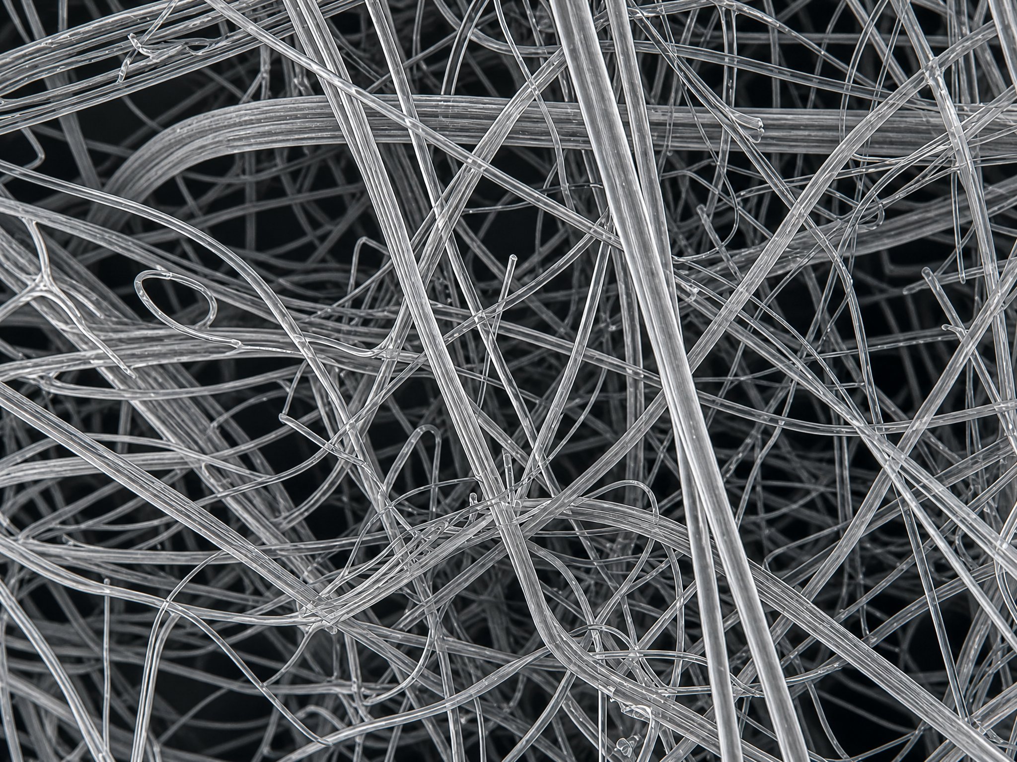 SEM microscopy image of borosilicate glass microfibres at high magnification — R+F FilterElements